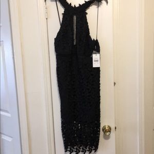 Bardot Black knee length dress- never been worn!